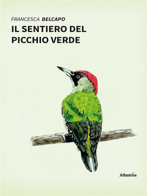 cover image of Il sentiero del picchio verde